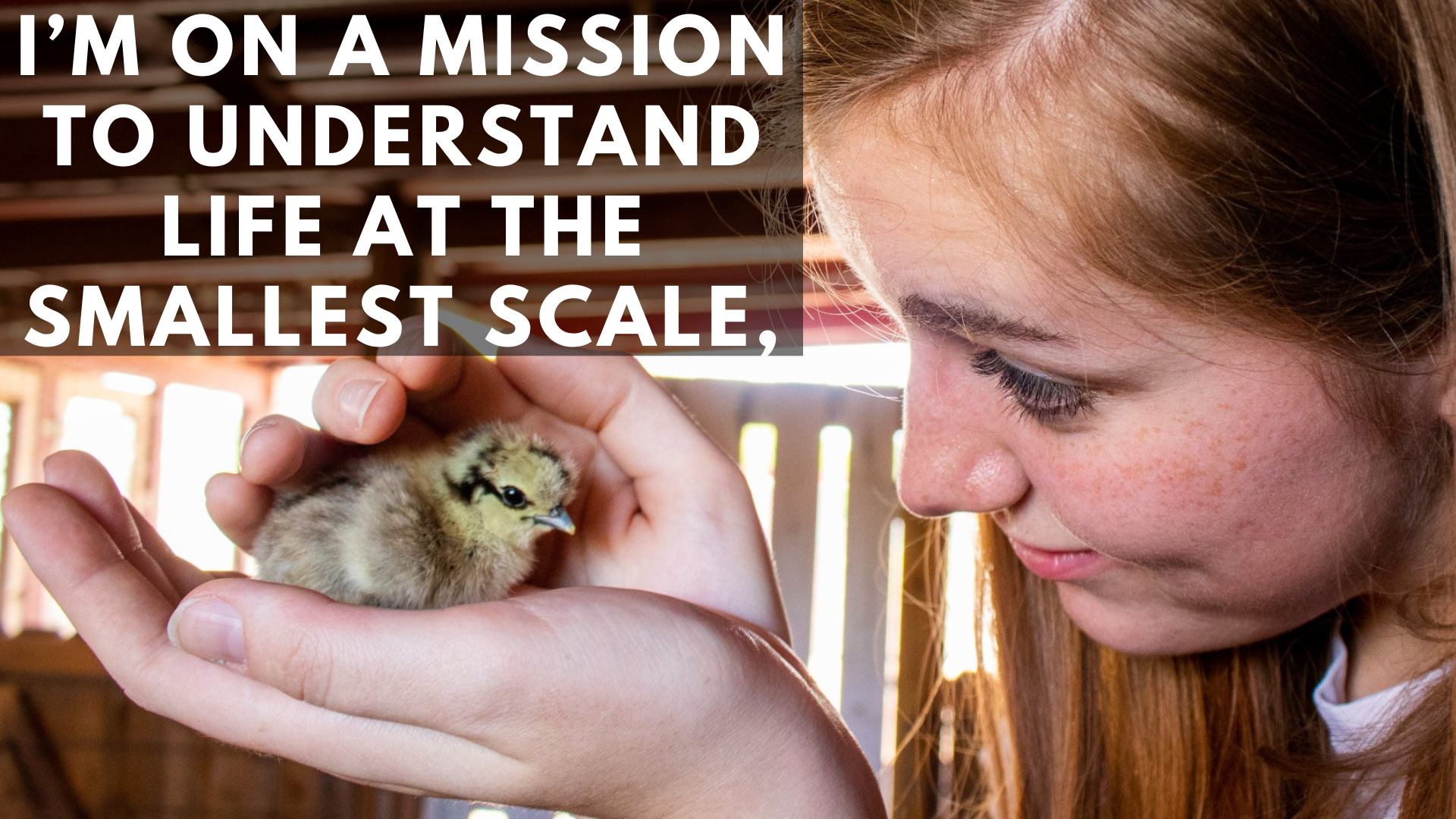 Helen holding a baby chick. Caption: I'm on a mission to understand life on the smallest scale,